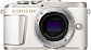 image of the Olympus PEN E-PL10 digital camera