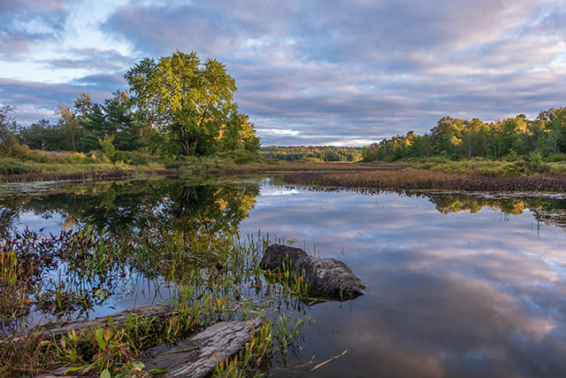 Fujifilm X-H2S Review: Field Test -- Gallery Image