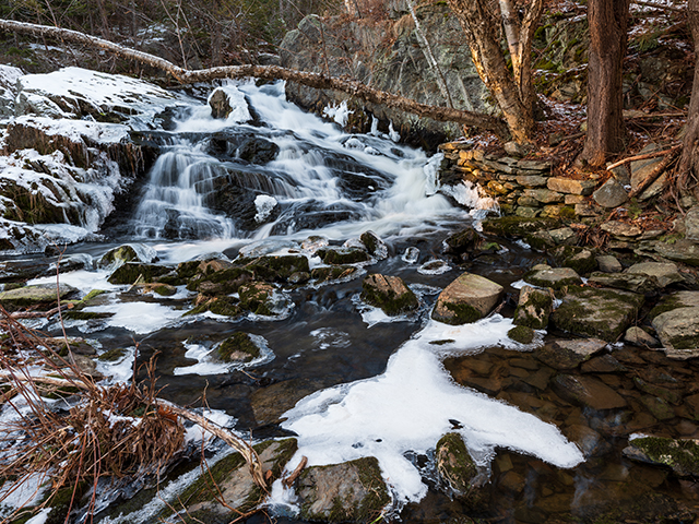 Fujinon GF 20-35mm F4 R WR Review: Hands-on Review -- Gallery Image